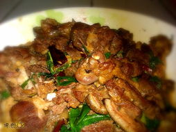 狗肉能(néng)和(hé)大(dà)蒜一(yī)起吃(chī)嗎(ma)?