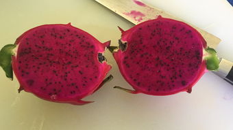 	如(rú)何選擇新鮮火(huǒ)龍果？