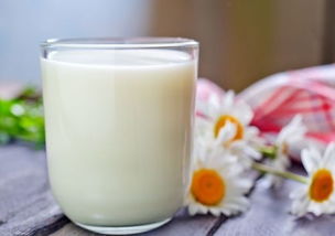 奶粉、鮮牛奶和(hé)豆奶選用(yòng)哪種比較好(hǎo)